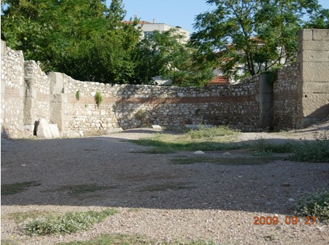 DSCN7761推雅推喇Thyateria