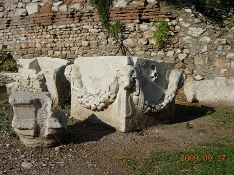 DSCN7763推雅推喇Thyateria